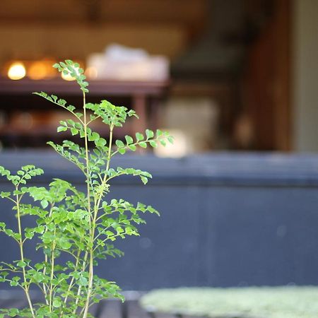 晴家 Guest House Fujikawaguchiko Eksteriør billede