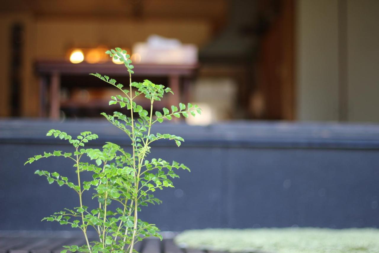 晴家 Guest House Fujikawaguchiko Eksteriør billede