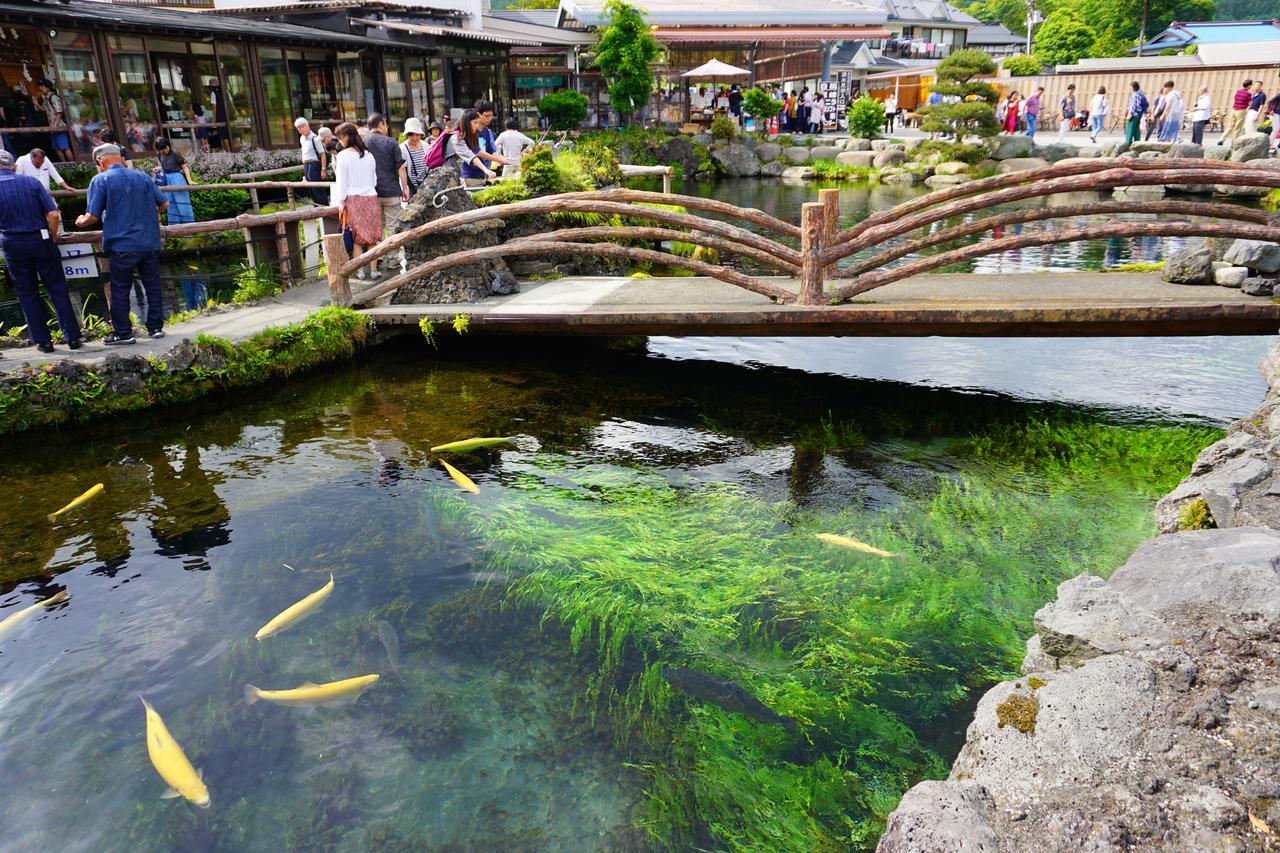 晴家 Guest House Fujikawaguchiko Eksteriør billede